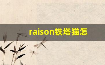 raison铁塔猫怎么买-奶油铁塔猫在哪里买的