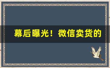 幕后曝光！微信卖货的货源哪里拿的“壮志凌云”