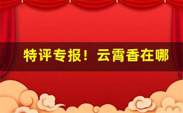 特评专报！云霄香在哪买“安车软轮”
