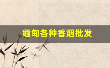 缅甸各种香烟批发
