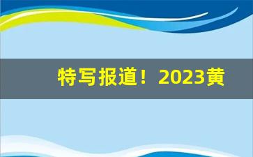 特写报道！2023黄金叶香烟价格“废食忘寝”