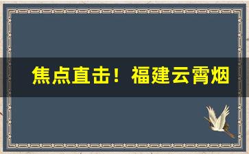 焦点直击！福建云霄烟草网“尺幅万里”