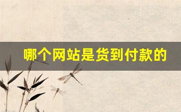 哪个网站是货到付款的-有什么东西是货到付款