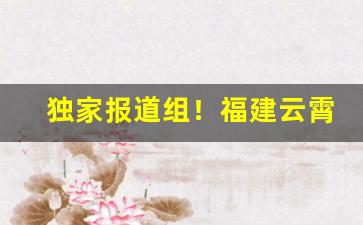 独家报道组！福建云霄香烟微商“分身无术”