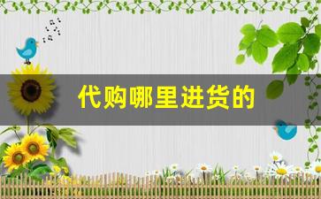 代购哪里进货的