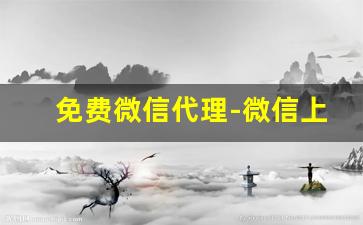 免费微信代理-微信上可以做的代理