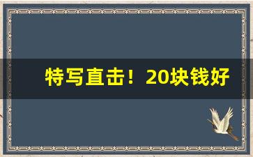 特写直击！20块钱好抽的烟大全“抵瑕蹈隙”