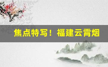 焦点特写！福建云霄烟厂家“带着铃铛去做贼”