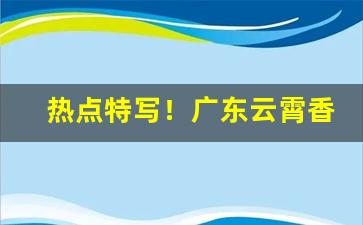 热点特写！广东云霄香烟一手货源？“盗铃掩耳”
