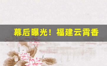 幕后曝光！福建云霄香烟批发一手货源厂家直销批发“兵荒马乱”
