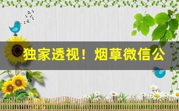 独家透视！烟草微信公众平台“高风亮节”
