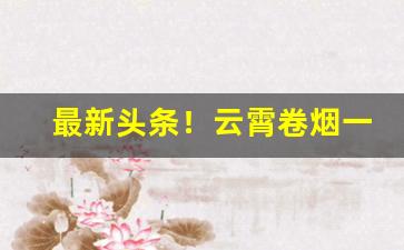 最新头条！云霄卷烟一手货源总仓批发“百代过客”