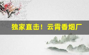 独家直击！云霄香烟厂家一件代发“草茅之产”