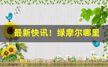 最新快讯！绿摩尔哪里有卖“冰清水冷”