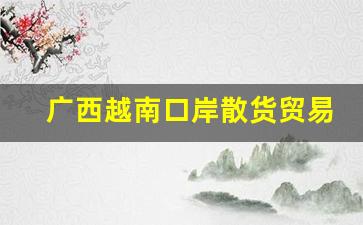 广西越南口岸散货贸易-广西货物出口越南有哪些途径