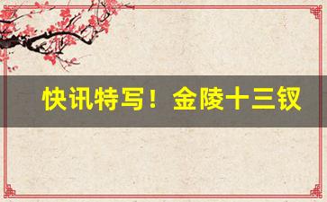 快讯特写！金陵十三钗哪里买“登门谢罪”
