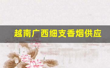 越南广西细支香烟供应-越南香烟十大品牌图