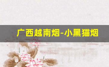 广西越南烟-小黑猫烟价格及图片