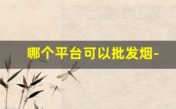 哪个平台可以批发烟-批发烟在哪里批发优惠