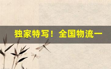 独家特写！全国物流一手货源批发“膀阔腰圆”