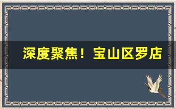 深度聚焦！宝山区罗店哪里批发烟“百里挑一”