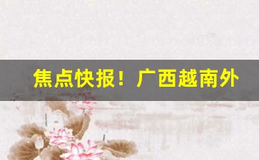 焦点快报！广西越南外烟代工烟一手货源代理“丢魂丢魄”