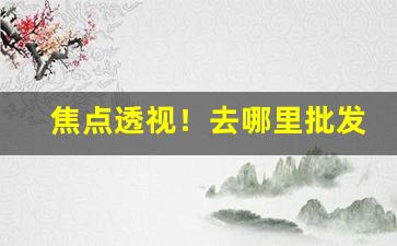 焦点透视！去哪里批发烟酒最便宜“逋逃之臣”