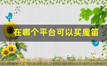 在哪个平台可以买魔笛-魔笛以后是不是买不到了