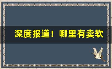 深度报道！哪里有卖软包芙蓉王的“得售其奸”