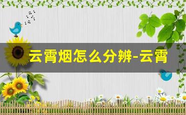 云霄烟怎么分辨-云霄烟的口味和真的一样吗