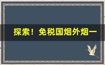 探索！免税国烟外烟一手货源正品“匕鬯无惊”