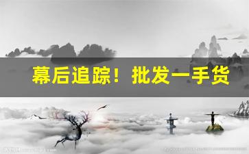 幕后追踪！批发一手货源在哪里找“乘间伺隙”