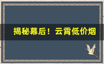 揭秘幕后！云霄低价烟联系方式“遁光不耀”