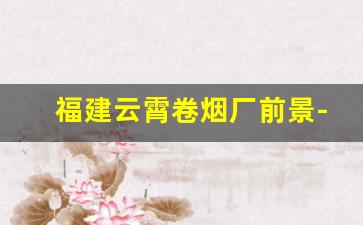 福建云霄卷烟厂前景-福建泉州卷烟厂怎么进