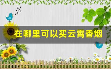 在哪里可以买云霄香烟-云霄香烟是哪里的品牌