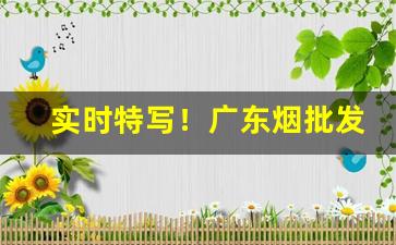 实时特写！广东烟批发联系方式“春梦一场”