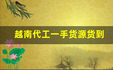越南代工一手货源货到付款-广西越南货一手货源