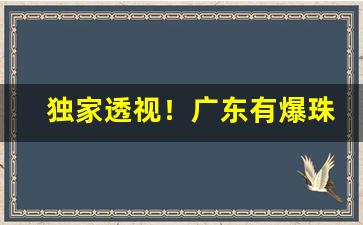 独家透视！广东有爆珠烟“倒持干戈”