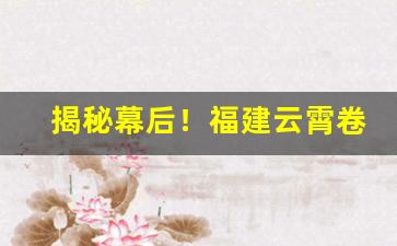 揭秘幕后！福建云霄卷烟股份有限公司“奔走钻营”
