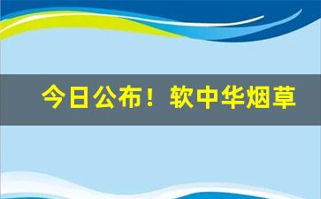 今日公布！软中华烟草批发价多少钱一条“多文强记”