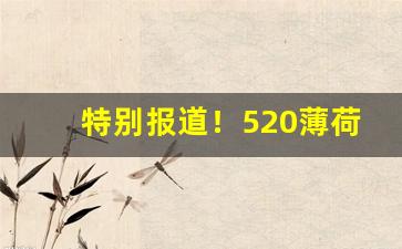 特别报道！520薄荷烟吸了会怎么样“辍食吐哺”
