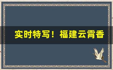 实时特写！福建云霄香烟批发微信有哪些“多见广识”