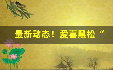 最新动态！爱喜黑松“彼竭我盈”