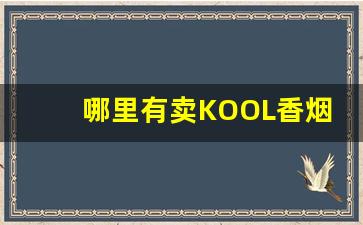 哪里有卖KOOL香烟的地方