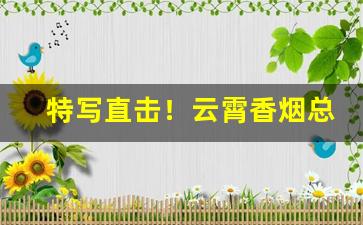 特写直击！云霄香烟总仓一手货源“大义凛然”