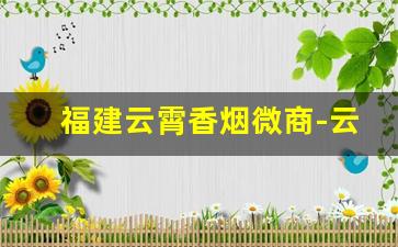 福建云霄香烟微商-云霄香烟二维码