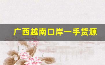 广西越南口岸一手货源-出口越南怎么找销路