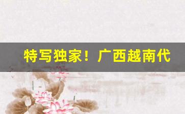 特写独家！广西越南代工烟批发“蹉跎自误”