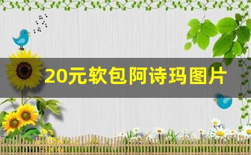 20元软包阿诗玛图片-阿诗玛软包河北有吗
