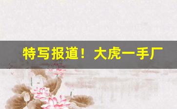 特写报道！大虎一手厂家微信烟“安国宁家”